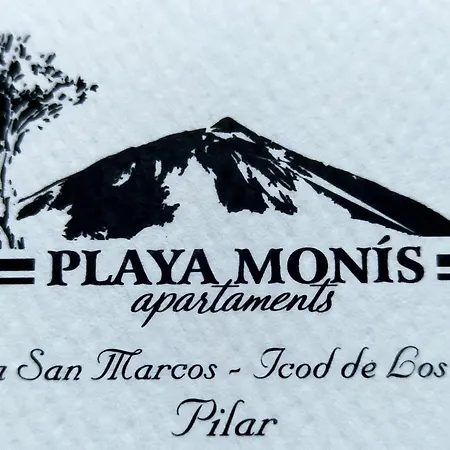 Playa Monis 1 * Icod de los Vinos